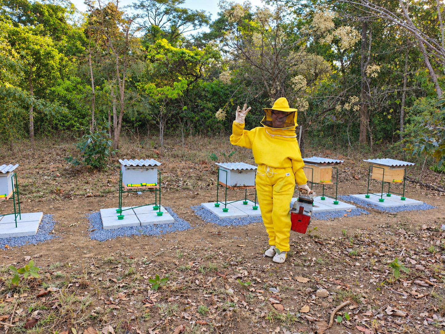 Pessoa com roupa de proteção amarela junto às colmeias do apiário